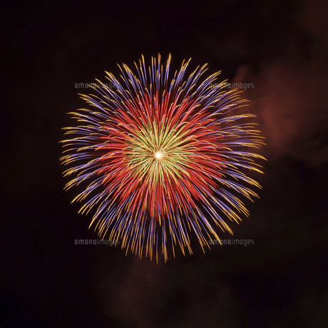 楽天市場 打ち上げ花火 値段の通販