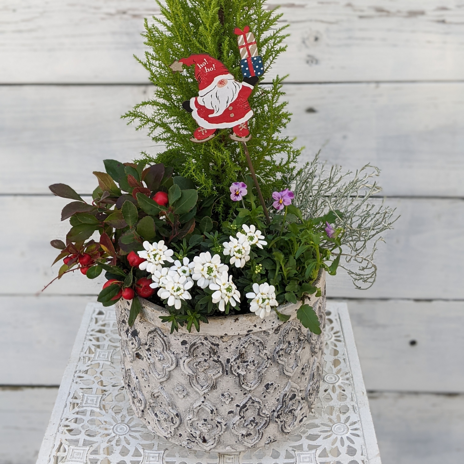 寄せ植えの基本初心者でもできるセンスの良い寄せ植えの作り方