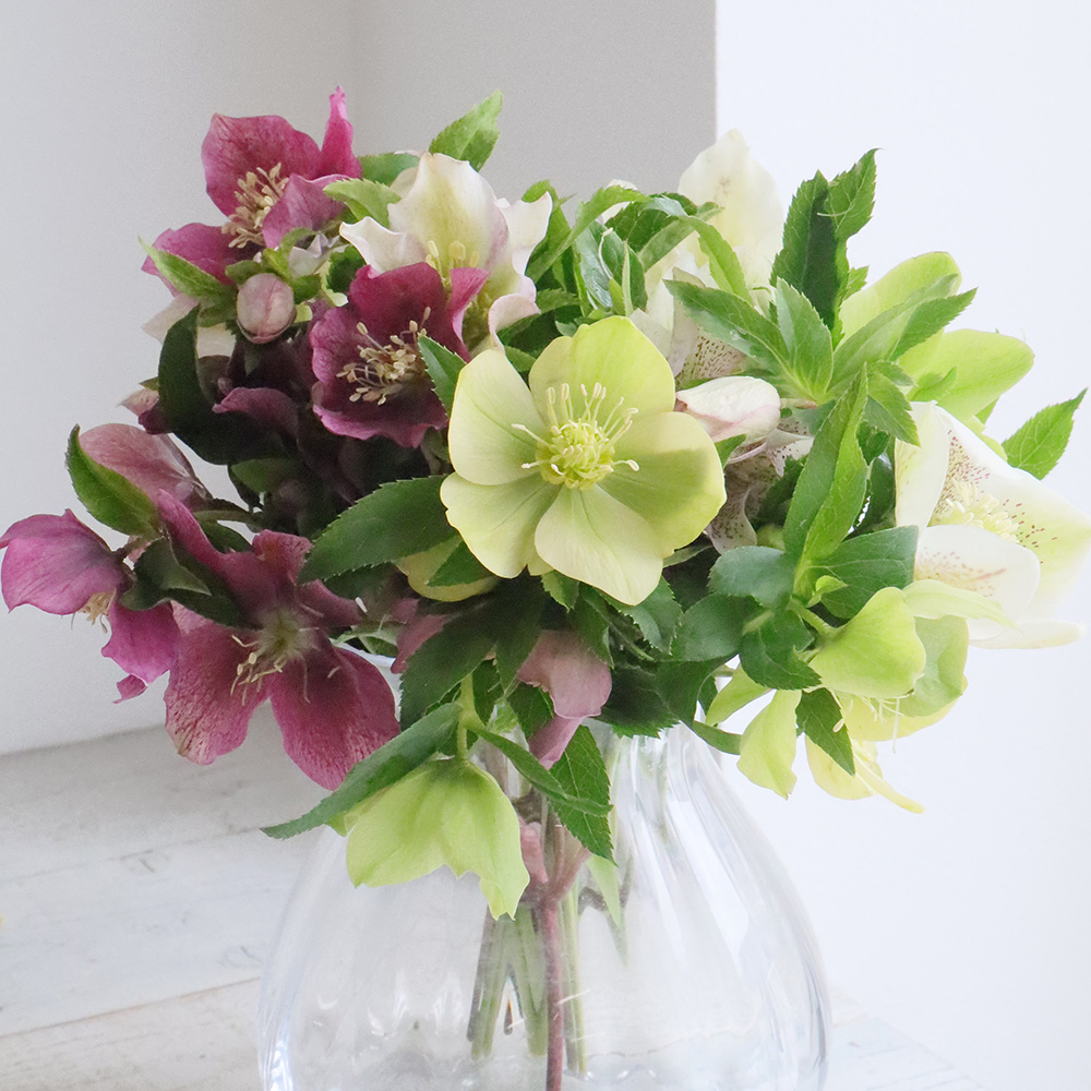 お庭摘み クリスマスローズの花束 ドライ - メルカリ