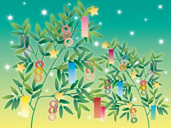 七夕の豆知識 七夕の「竹」と「笹」の違いって？ 七夕はどっちを飾る！？販促物・販促通販の POP GALLERY ポップギャラリ