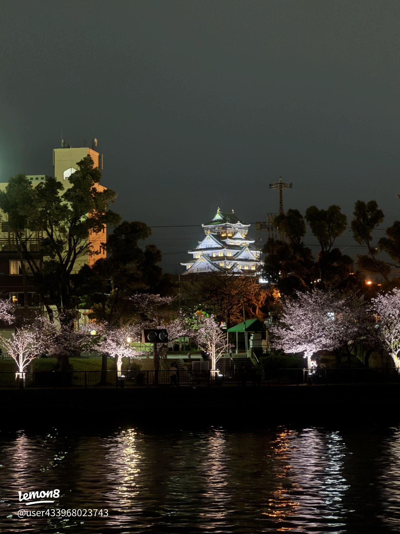 大阪府の「屋台」が楽しめる桜名所 お花見2025 - ウォーカープラス