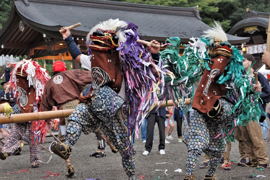 小江戸・川越祭りの獅子舞 埼玉県の風景 の写真素材19713395- PIXTA