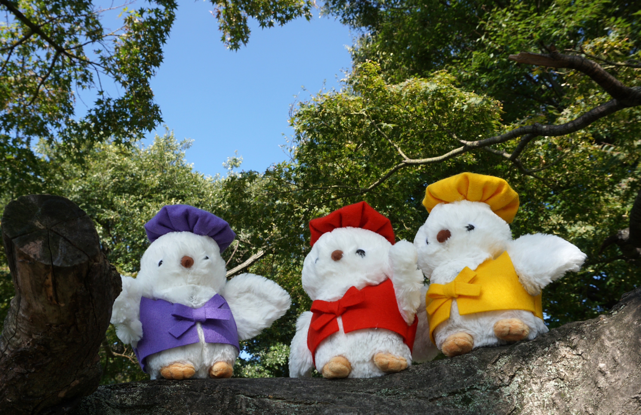 似顔絵 還暦祝い・古希・喜寿・米寿・傘寿・百寿 ちゃんちゃんこ プレゼント 還暦・古希・喜寿・傘寿・米寿