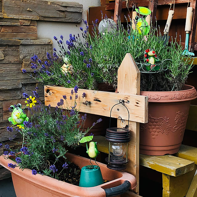 ダイソー 梅雨の商品を使ったおしゃれなインテリア実例RoomClip ルームクリップ