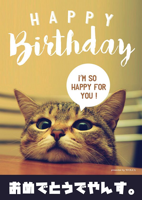 誕生日に贈る楽しい動画ネタ！TikTok