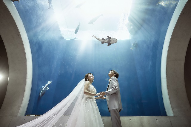 大人気マリンワールドウェディング🐬🫧‪ ・ 憧れの水族館で一生の思い出作りませんか✨️ ・ベルクラシック福岡大濠大濠福岡花嫁全国の花嫁さんとつながりたい日本中の花嫁さんと繋がりたいプレ花嫁2024春婚2024夏婚2024秋婚2024冬婚結婚式準備‬