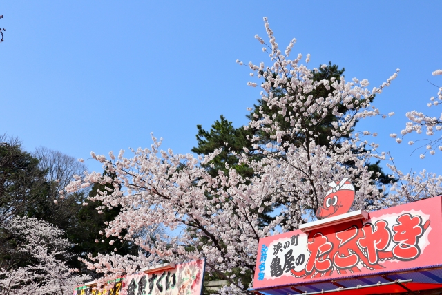 2025年5月31日 土 、6月1日 日開成山パークフェス２０２５内 ティラノサウルスレース 開成山公園 福島県郡山市全国ティラノサウルスレース日程告知応援