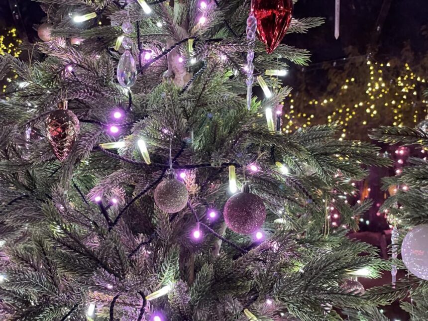 2024年 宮ヶ瀬イルミネーション いつまで？料金は？点灯時間やアクセス！ - かぞくの休日