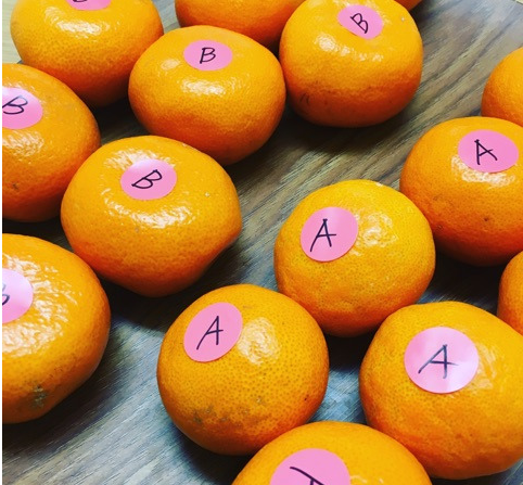 お正月の伝統を取り入れた結婚式の演出TikTok