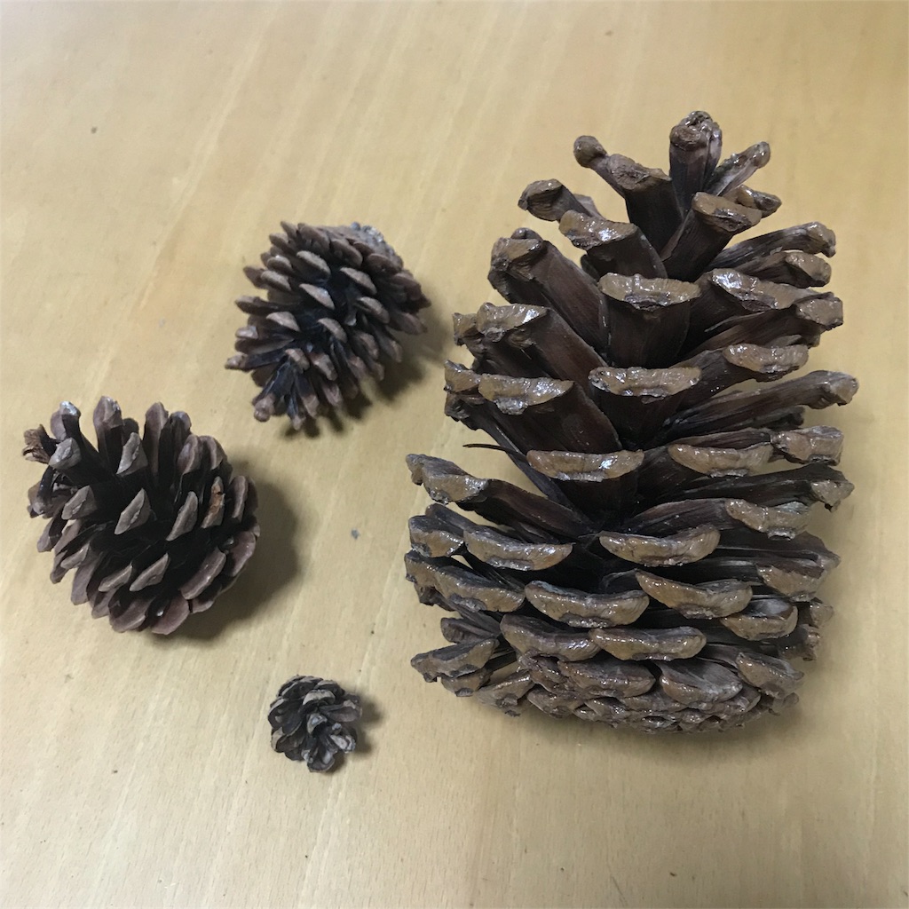 ハンドメイド雑貨 松ぼっくりツリーのおすすめ商品とおしゃれな実例RoomClip ルームクリップ