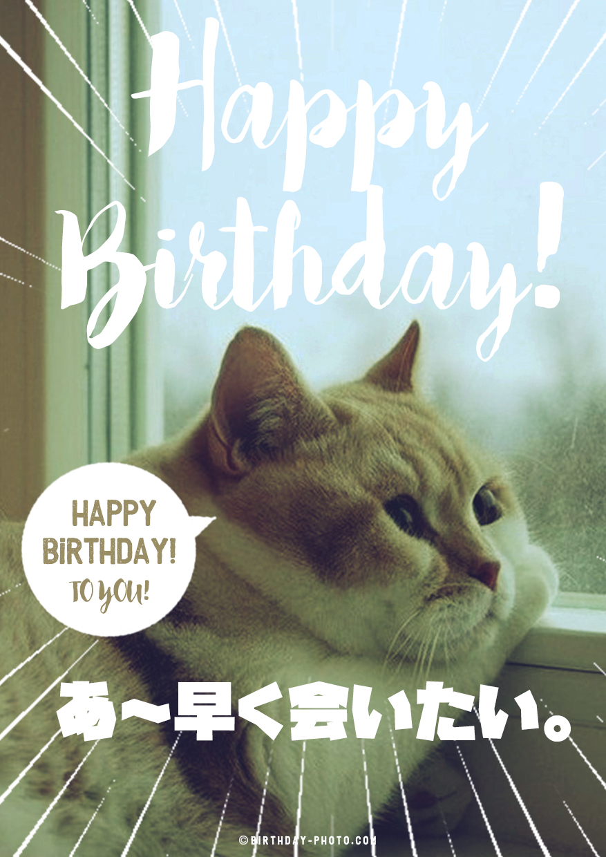 おもしろバースデーカード 画像 - Freepikで無料ダウンロード