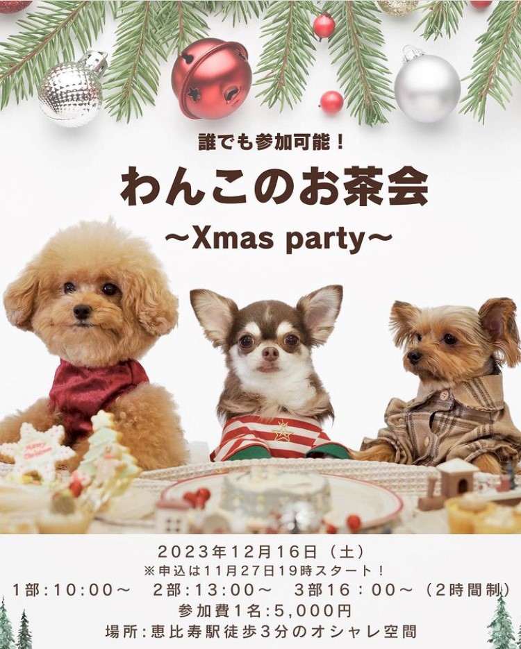 うしすけで愛犬と一緒にメリークリスマス！ 12月7日から期間限定で「X'masツリーバーグ」 – ペトハピ