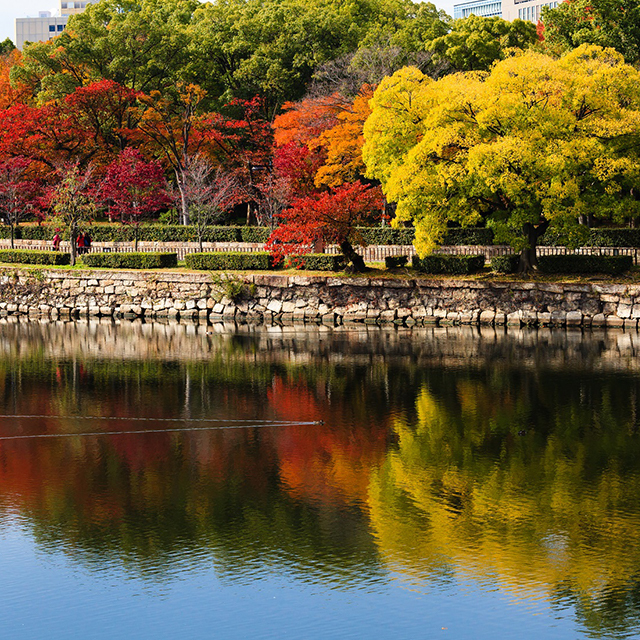 大阪迎賓館で人気の演出𓂃 鏡開きはゲストの皆さまも とっても喜んでいただいております𓂃𓈒𓏸 美味しいお酒と フレンチでおもてなしをさせていただきます❤︎大阪迎賓館花嫁 ＝＝＝＝＝＝＝＝＝＝＝＝＝＝＝＝＝＝ 大阪迎賓館でご結婚式を迎えられるプレ花嫁様、卒