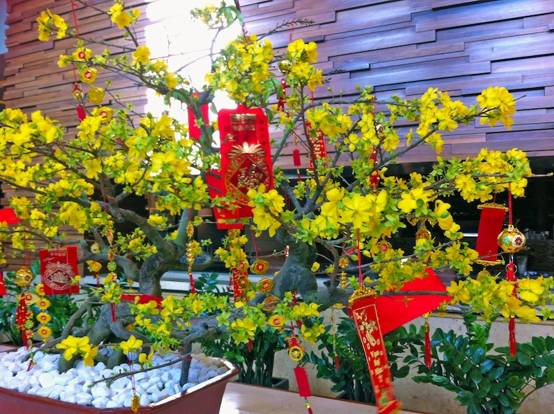 ベトナムの旧正月『テト』－駐在現地レポート海外赴任・留学・資格に強いベトナム語教室・スクール - アイザックベトナム語ニュース