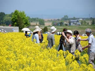 たきかわ菜の花まつり パンフレット！一般社団法人たきかわ観光協会