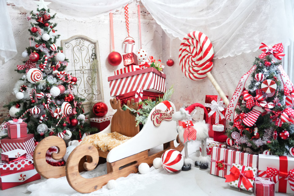 おうちでできる可愛いベビー＆キッズのクリスマスフォト集めました♪ - TORiiCO