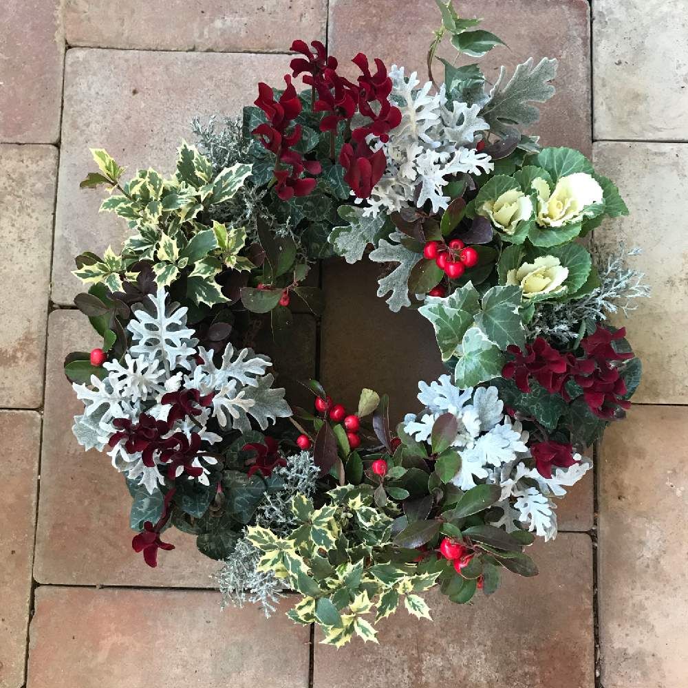 クリスマスブーツ：Ｗ植木鉢 プランター 多肉植物 寄せ植え 直径約60㎝お値打ち1