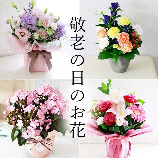敬老の日アレンジメント 豪華Mサイズ 敬老の日 ボリューム プレゼント ギフト 花 おじいちゃん おばあちゃん 祖父母 フラワー アレンジメントバラ 豪華サイズ 華やか 生花 アレンジメント 花束 メッセージカード付 -COLORFUL Flowers 花のギフト専門店