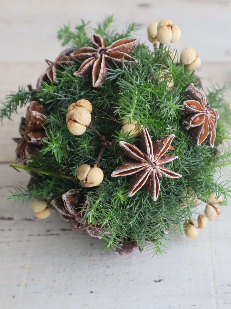 スモークツリーボールリース