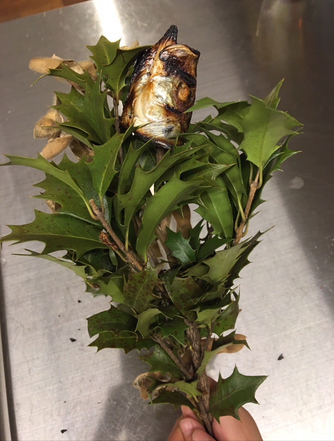 節分〜柊鰯で魔を除ける〜長女マルミの2025年中学受験備忘録