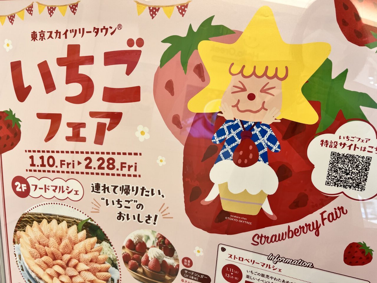 真岡市のいちごまつり！真岡いちごフェスタ2025は5月18日 日 開催