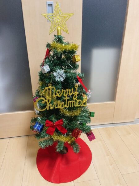 クリスマスツリーに使われている樹種とは何？何気なく付けていた飾り付けにも意味が⁉︎その他, 森林・林業株式会社アーボプラス