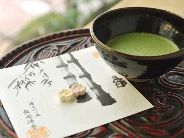 報国寺の竹林で涼み、抹茶を飲む。鎌倉の避暑地で暑さを逃れるゴリミ