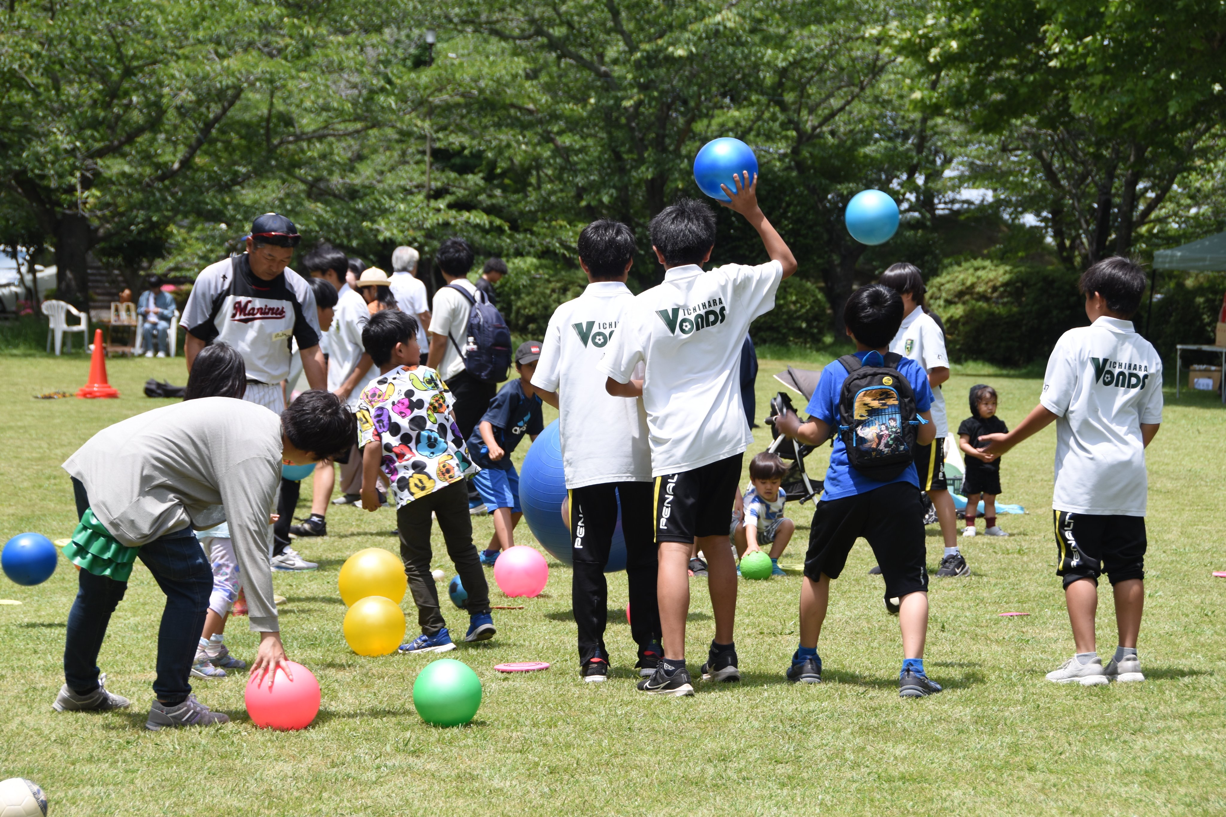 茂原公園 夜桜ライトアップ千葉県茂原市 の写真素材25965048- PIXTA