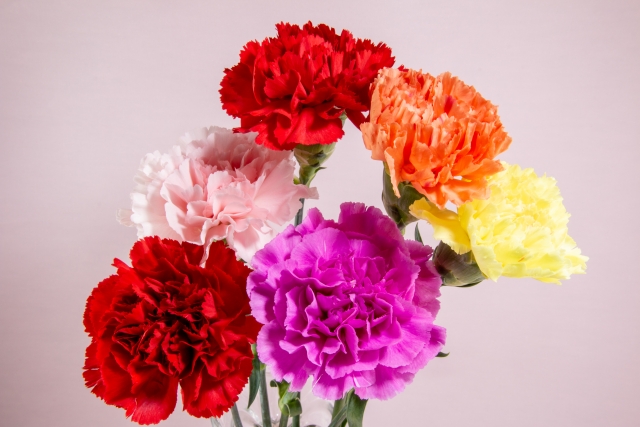 送料無料造花 カーネーション アレンジメント 枯れないお花 アーティシャルフラワー 母の日 敬老の日 病院 施設 ギフト プレゼント 贈り物 御礼お礼 誕生日 結婚式 記念日 結婚記念日 お祝 退職祝い 還暦 古希 女性 妻 おばあちゃん -Baby's breath ギフトモール店