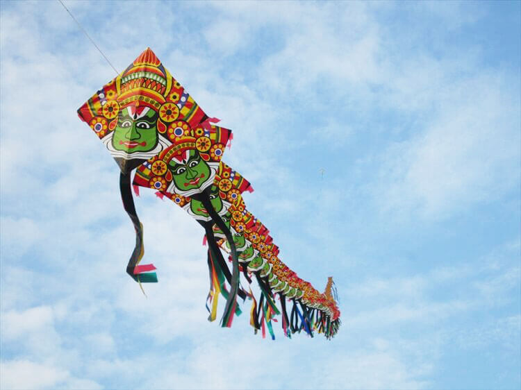 誰もが知ってる“あの正月遊び”には実は深い意味がある？ 由来や遊び方をご紹介Oggi.jp