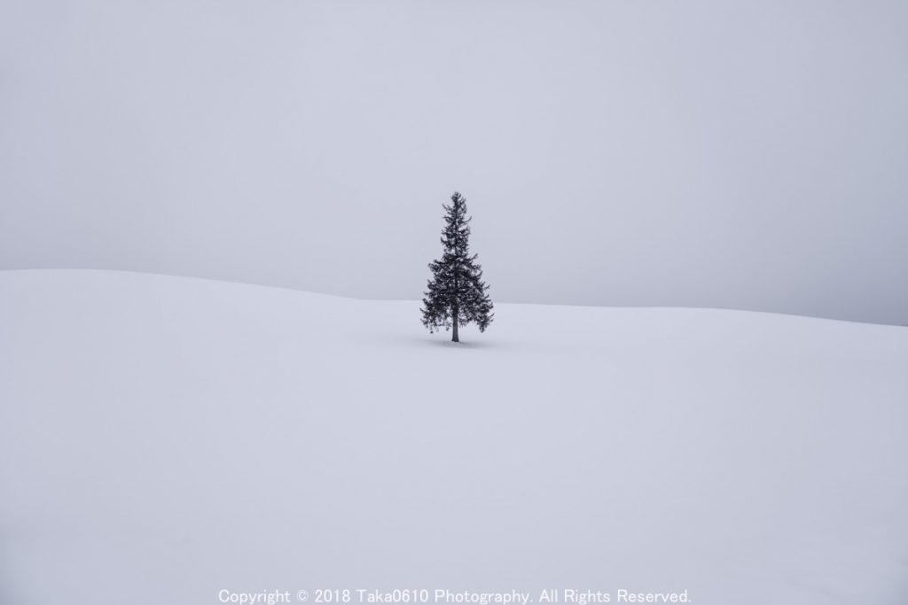 北海道の雪景色にポツンと立つ「クリスマスツリーの木」が幻想的って話題なの。冬旅の行き先としていかが？ - isuta イスタ-私の“好き”にウソをつかない
