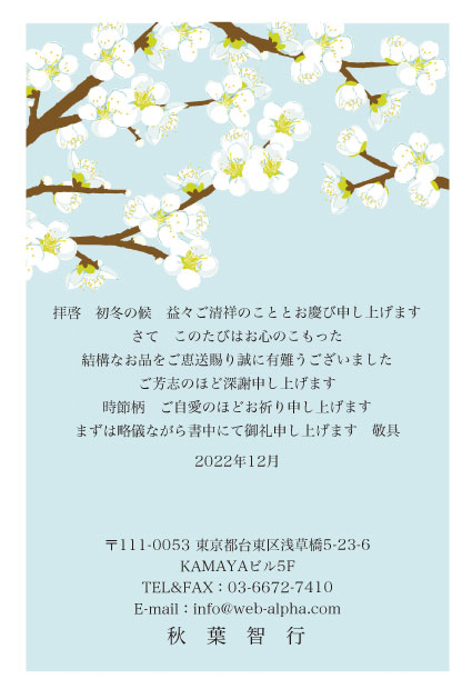 私製はがき お歳暮 お中元 お礼状 300枚挨拶状・案内状・礼状お中元のお