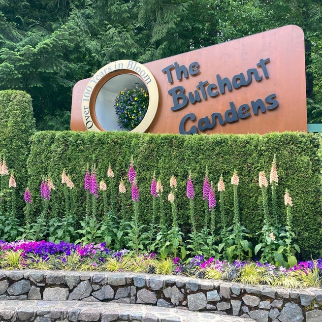 そうだ、ビクトリアに行こう！〜ブッチャートガーデンでアフタヌーンティー〜人生、山あり谷あり湖あり！！英語が出来なくても何とかなる！？ inCanada