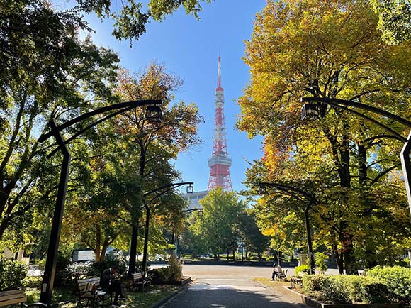 芝公園 東京タワー さくらTikTok