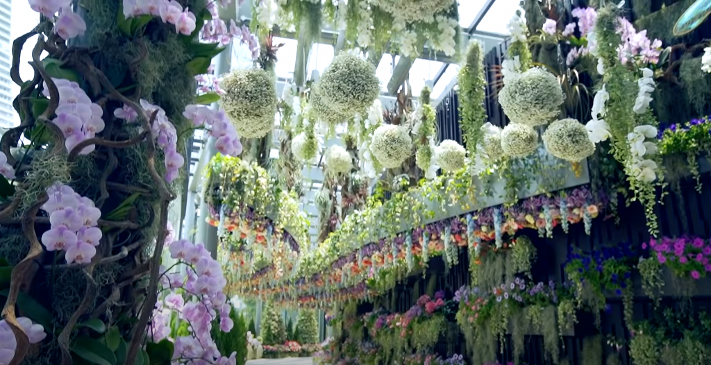 ガーデンズバイザベイのチケットを当日、現地の売り場で買う方法もこす＠シンガポール