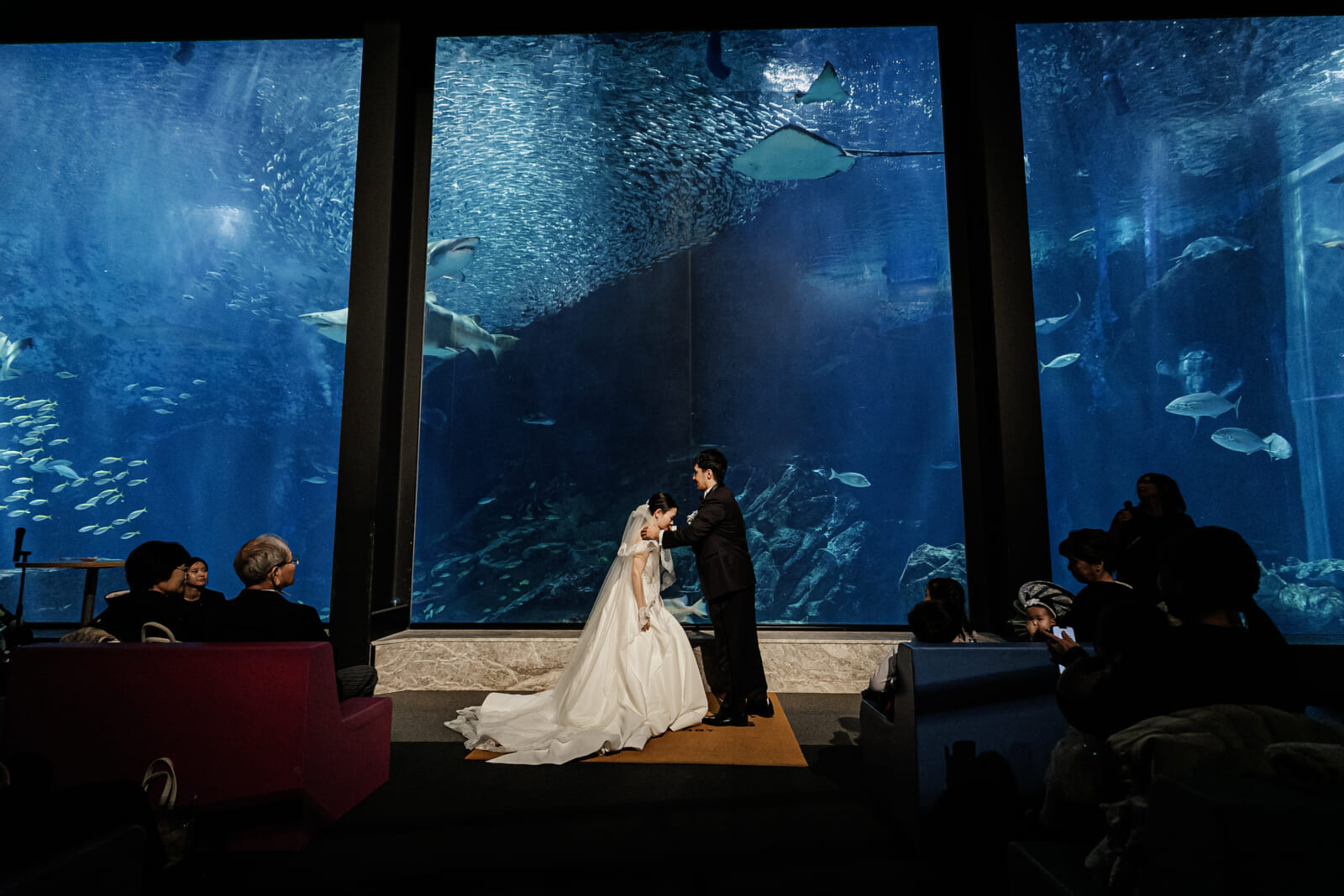 福岡 目の前に広がる絶景☆海の見える式場10選ウェディングニュース