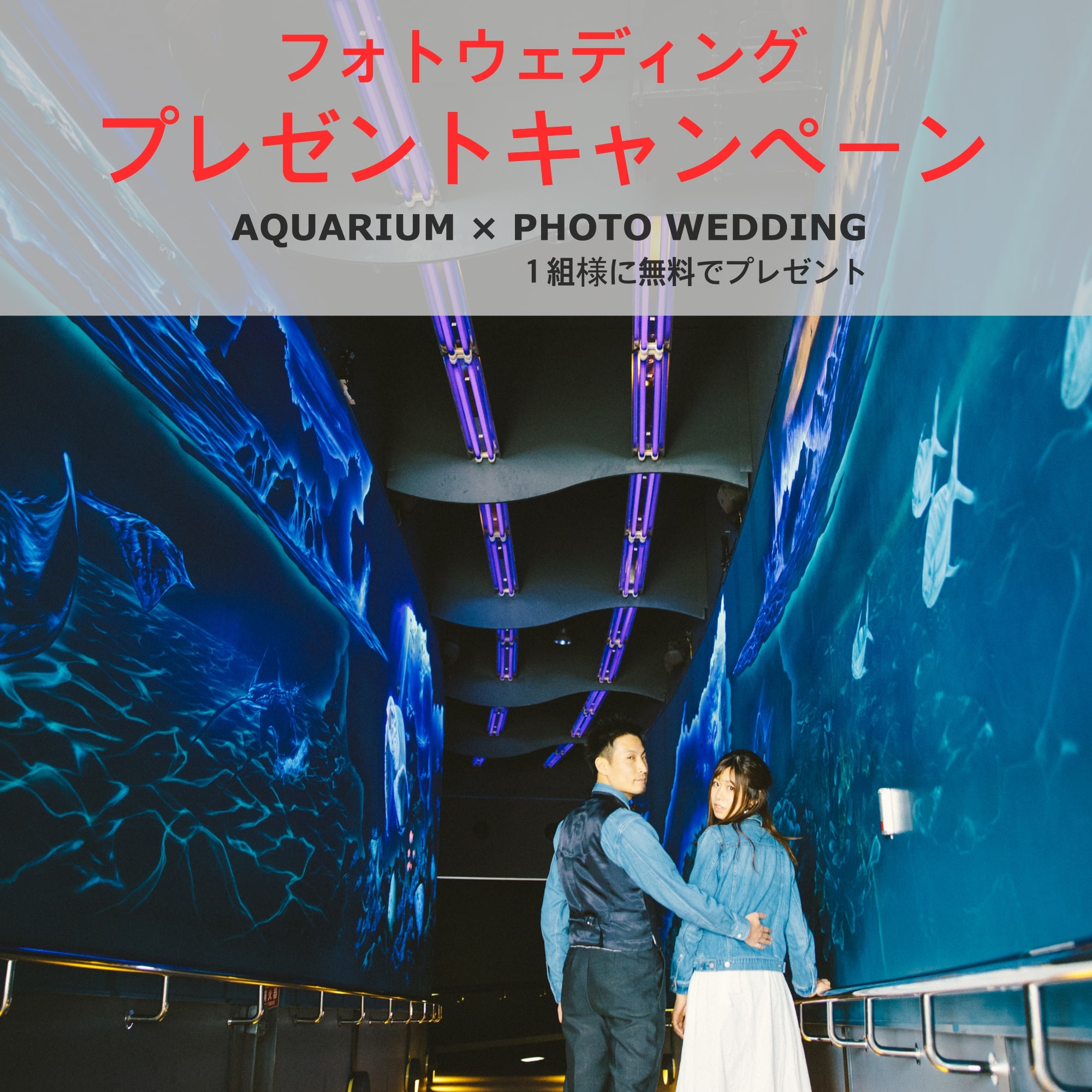 10,000組達成！！お客様感謝企画 水族館で結婚式 Aquarium Weddingロイヤルチェスター佐賀 マリーンワールド海の中道彩りウエディング
