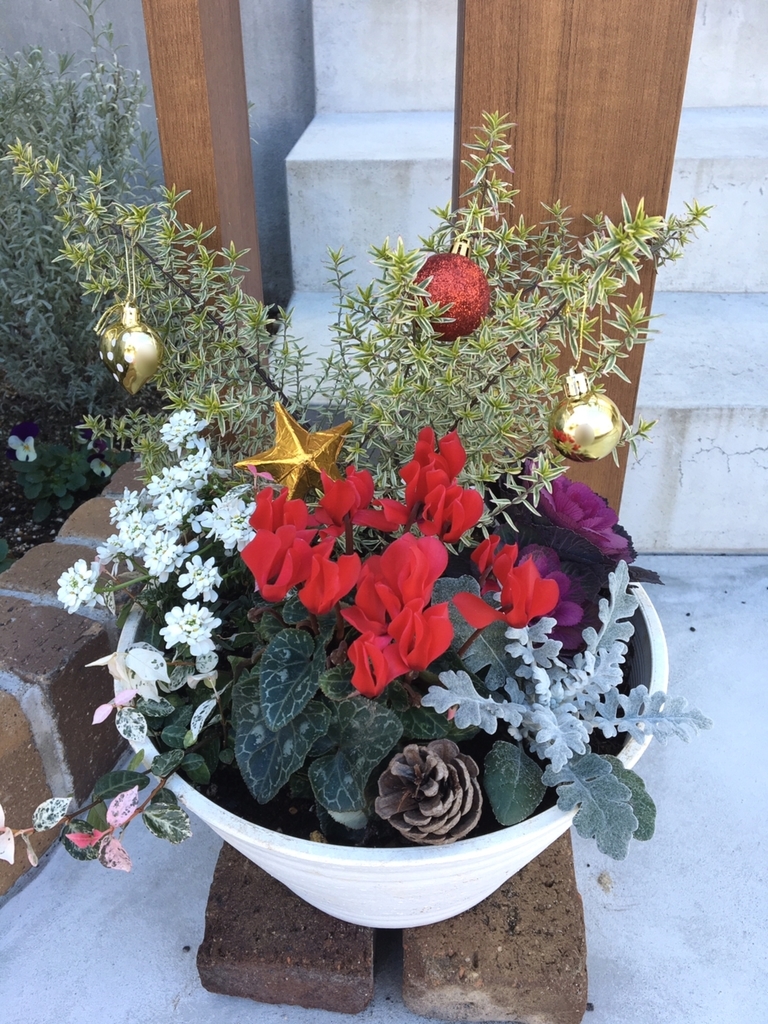 葉牡丹の寄せ植え＆トートバッグ - 姫路レザー whim ウィム