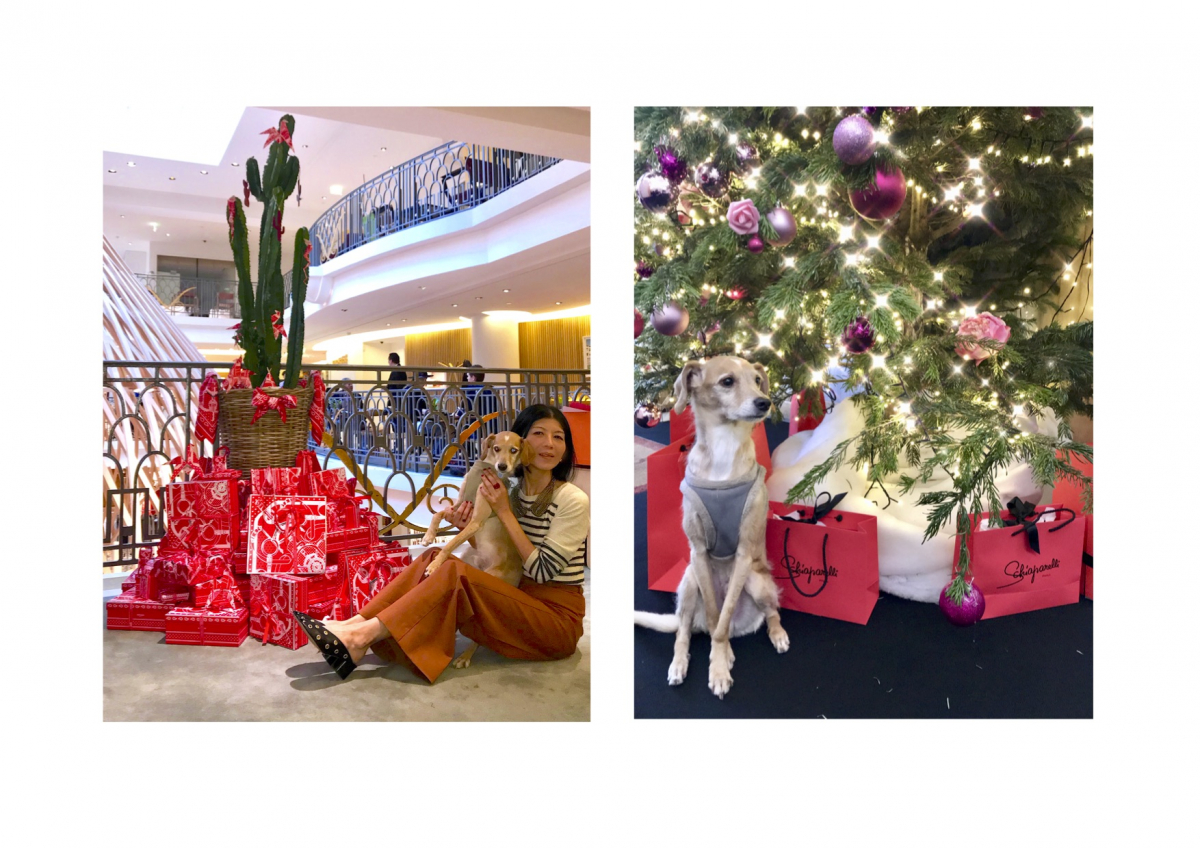 12月パリの天気は？フランス旅行におすすめの服装・持ち物・過ごし方を徹底解説フランスボックスフランス旅行情報