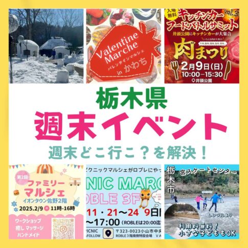小山市 8月25日はOYAMA Groovin' FES 2024☆Night＠須賀神社！どんなイベントなのでしょうか。号外NET 小山市・下野市