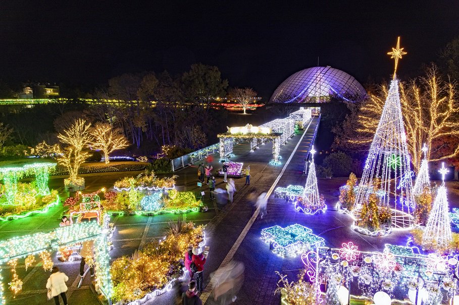 久し振りに晴れた日曜日。湖山池の七夕イルミネーションの撮影 - とっとり３６５日Ｐｈｏｔｏ
