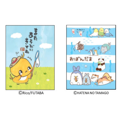 100均ダイソーのポチ袋が充実しています！エンジョイ子育て生活