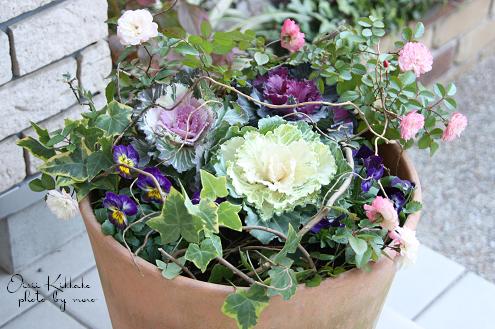 先行予約花 門松 花苗 寄せ植え 竹 葉牡丹 正月飾り 正月 飾り 迎春 お花 玄関 贈答 プレゼント ギフト 植物 お祝い2025年12月中旬より発送開始 オンライン決済限定4756348- 静岡県藤枝市ふるさとチョイス - ふるさと納税サイト