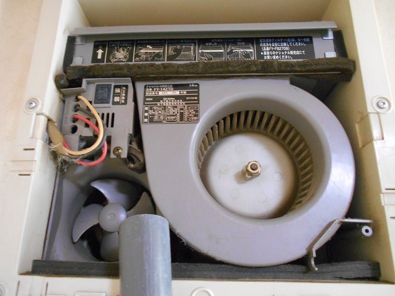 朝からずっと料理、おせちも作り天婦羅も揚げ、日々の掃除・洗濯もしたし、今年も良い１年だったねと夫と共に美味しく鱈腹食べて話す大晦日 : 名残りの猫雑記