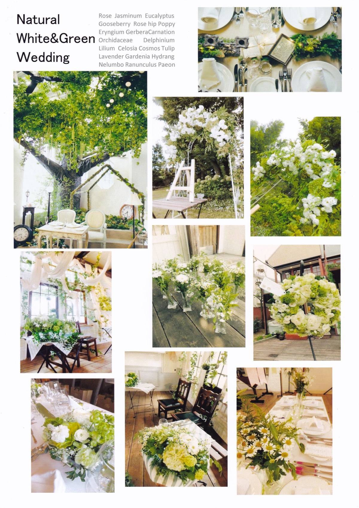 今どきウェディングは「モード」な白×グリーンがテーマ！ おしゃれ花嫁のドレス・装花・ブーケetcARCH DAYS