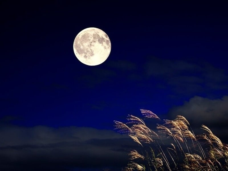 酷暑の候」の時期はいつからいつまで？結びや使い方と例文