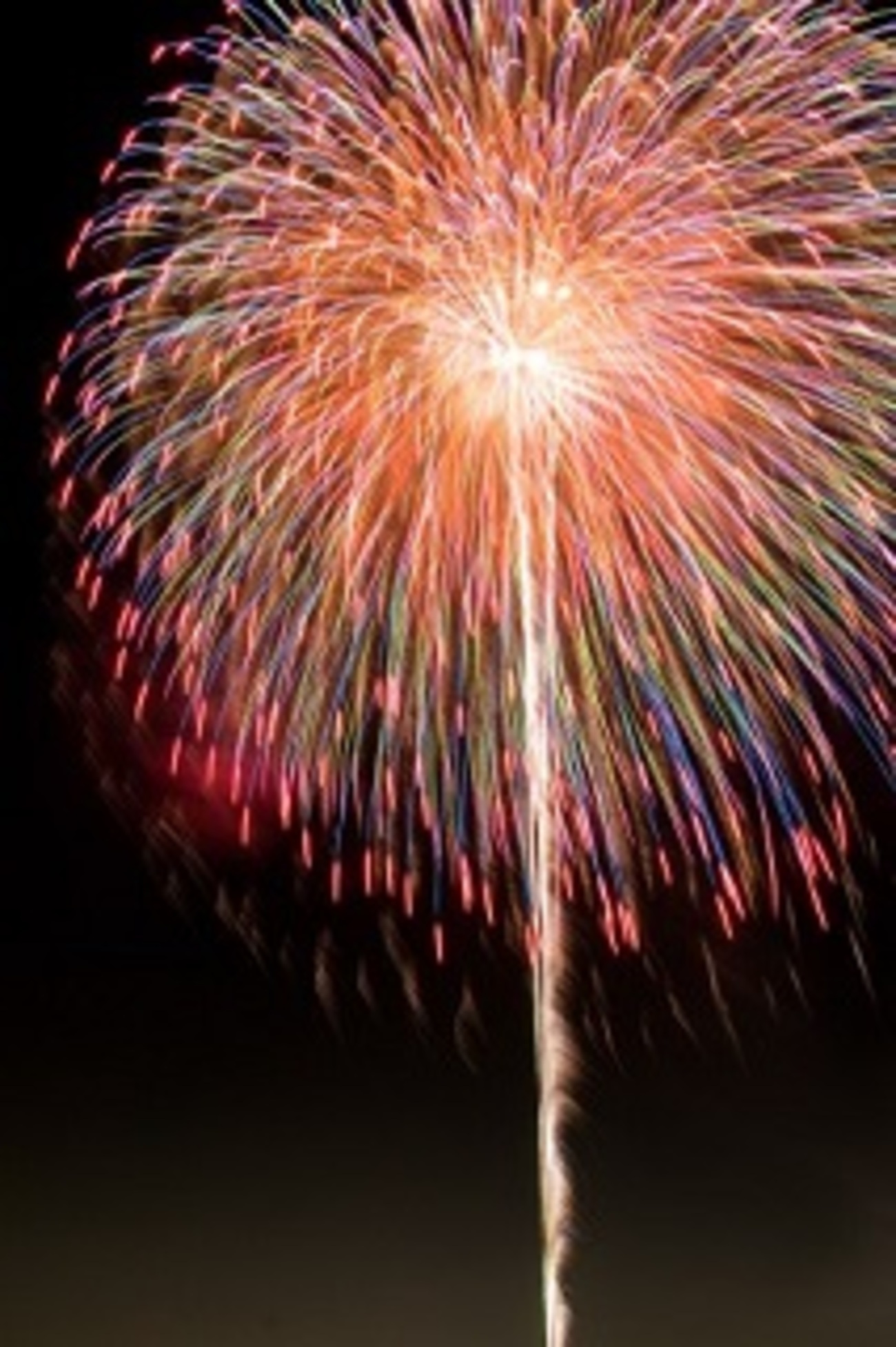 岐阜の花火大会2025特集ぎふノート