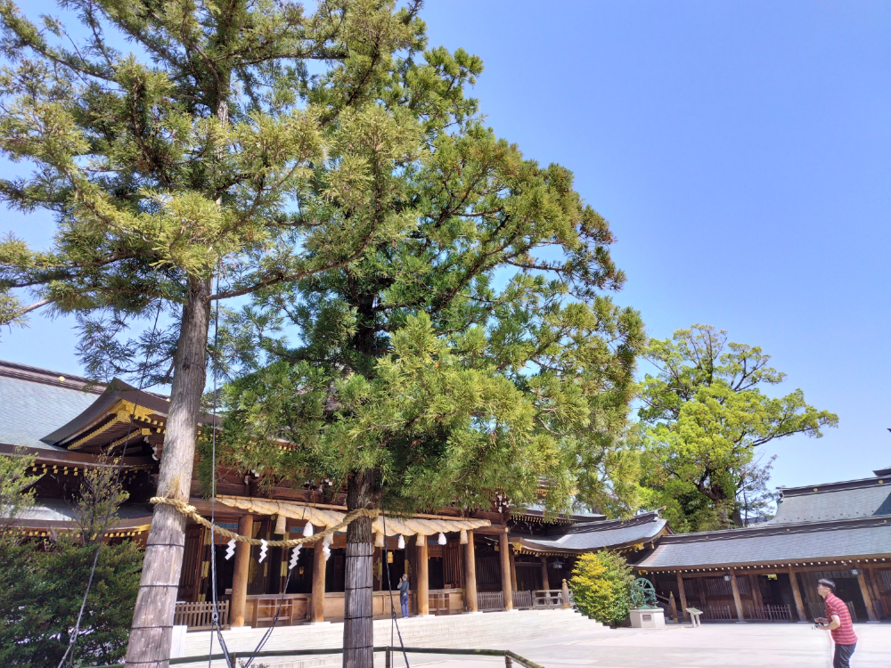 社員のオフショット📷＞ 春分の日と秋分の日の年2回しか通らないという「レイライン」の日に、パワースポットとして有名な寒川神社⛩にお参りに行ってきました🙏🏻✨しかも、確率0.00004％ともいわれる「大大吉」を引きました！今年は最強運気になりそうです