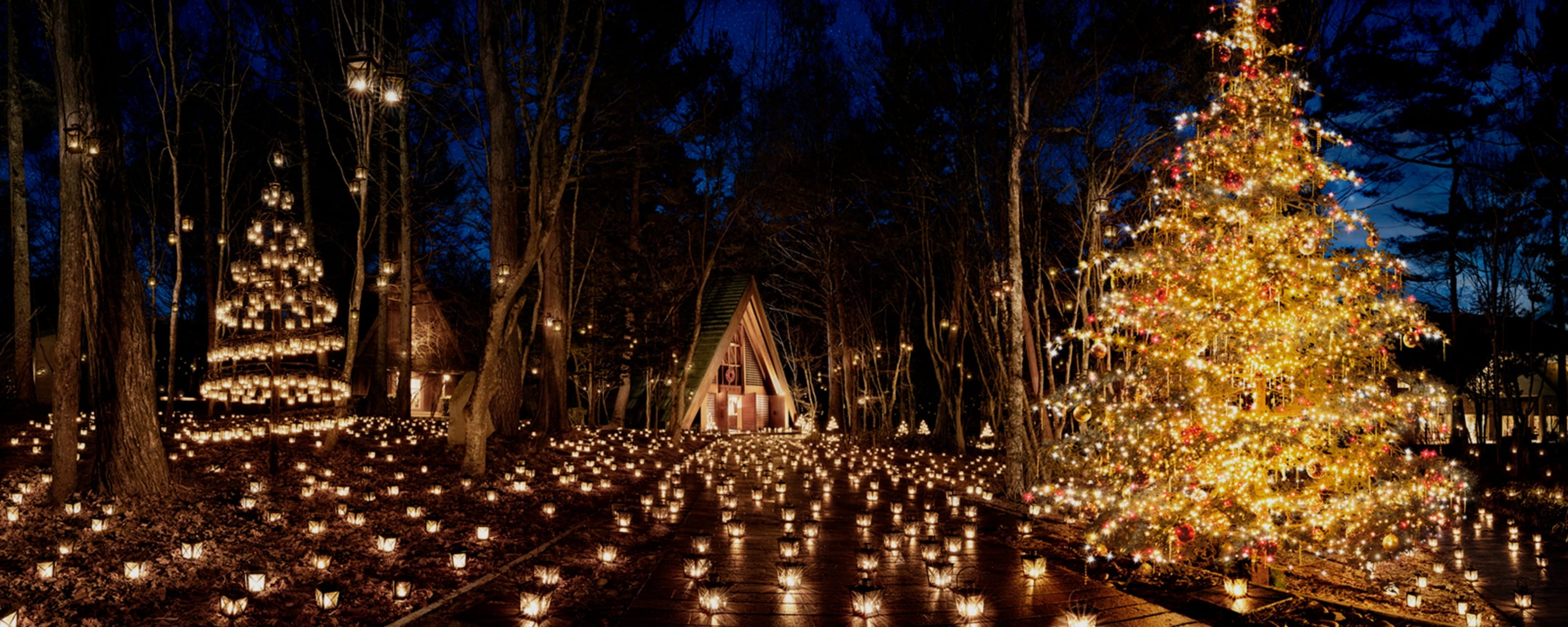 軽井沢高原教会 星降る森のクリスマス 2024