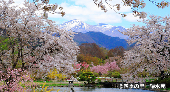 関西大学が千里山キャンパスなどに傘のシェアリングサービス「アイカサ」導入 府内の大学で初 – ブームスポーツ編集局